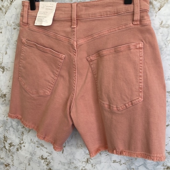 LC Lauren Conrad Distressed High Rise Shorts l SIZE 4 - Picture 3 of 6